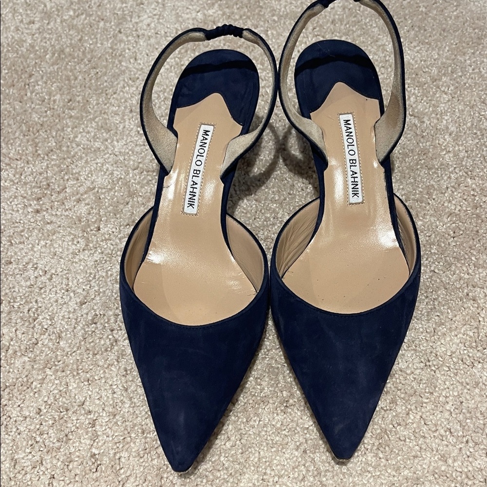 Manolo Blahnik Dark Blue Pointed Heels